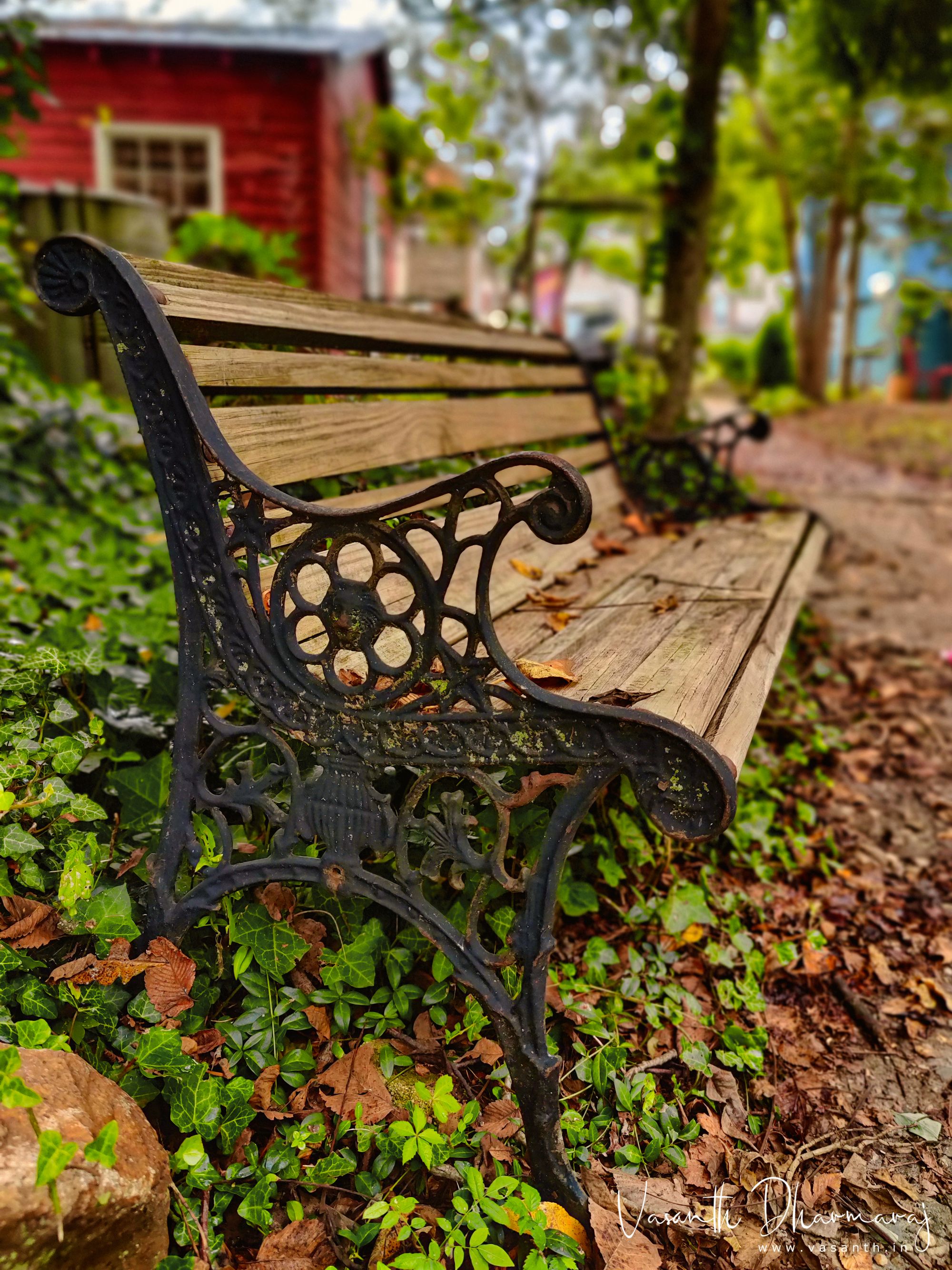 Old bench