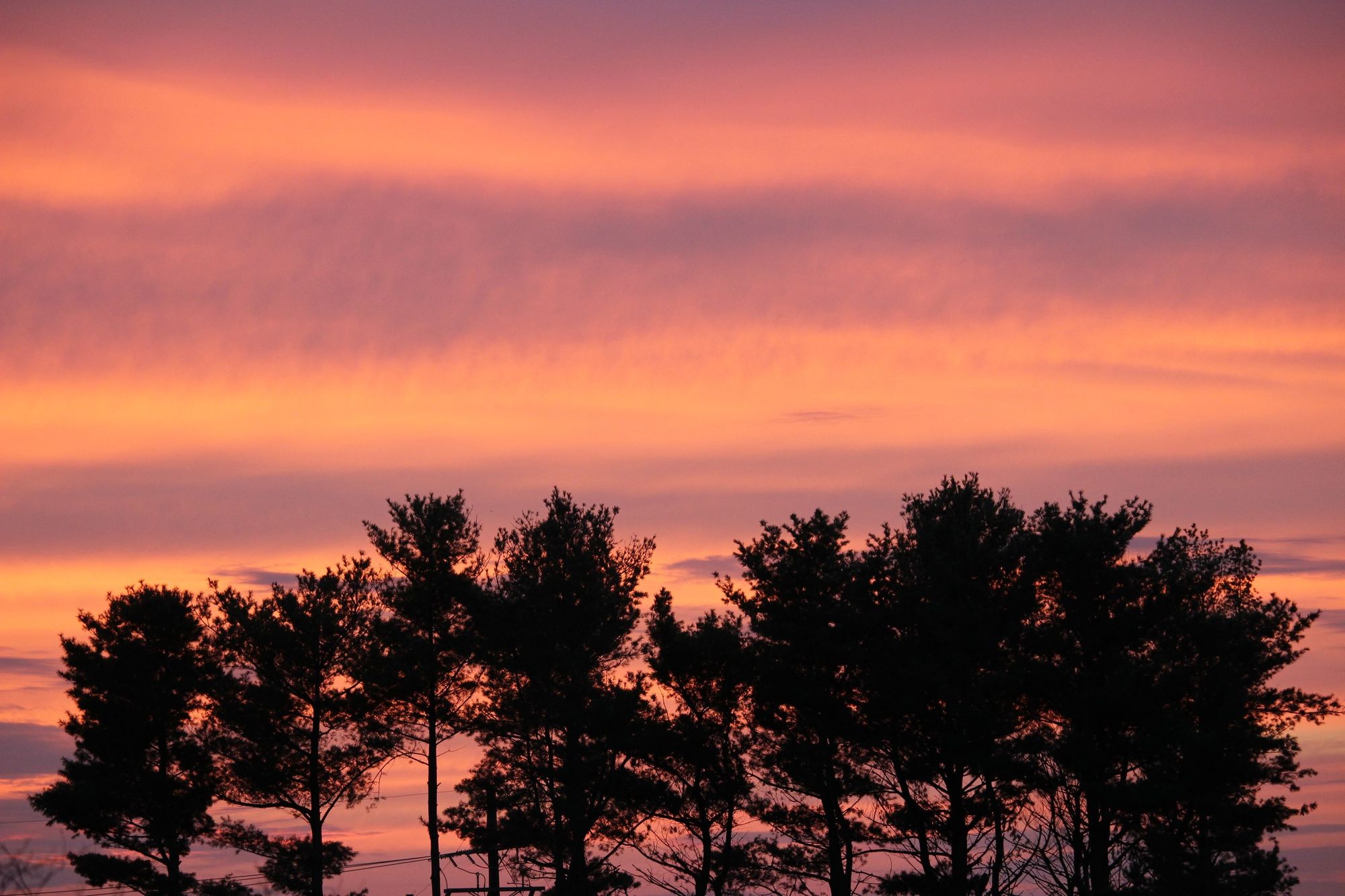 Colorful sunset