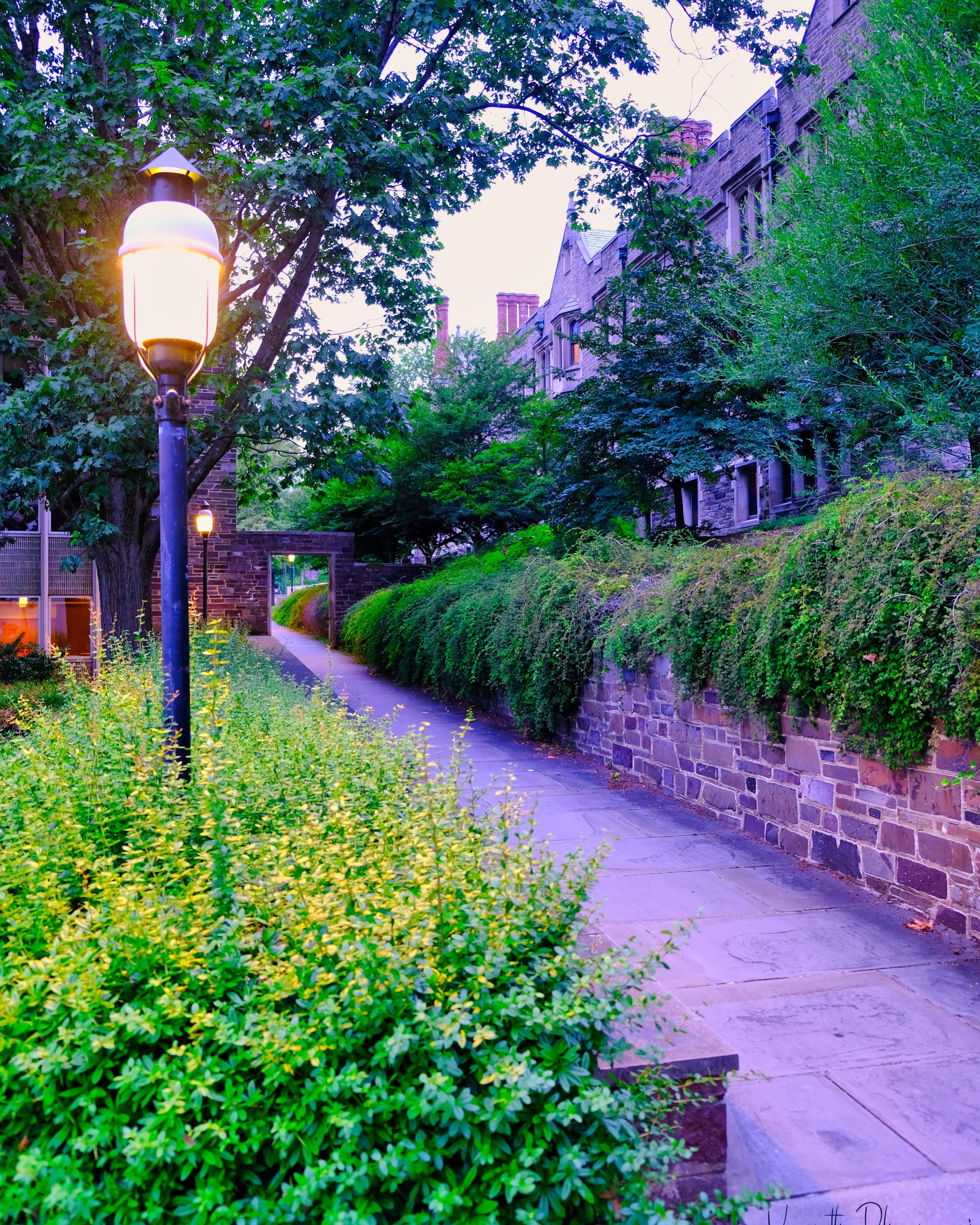 Path to Princeton University