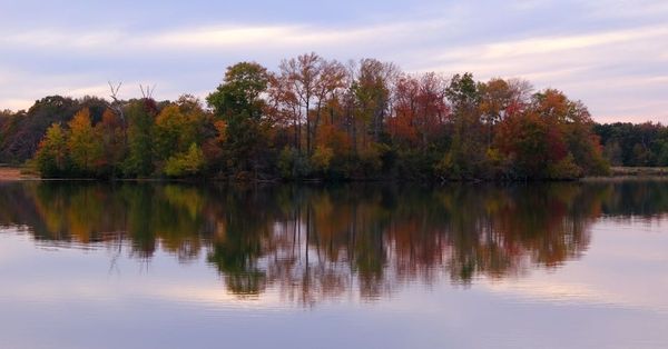 Fall colors