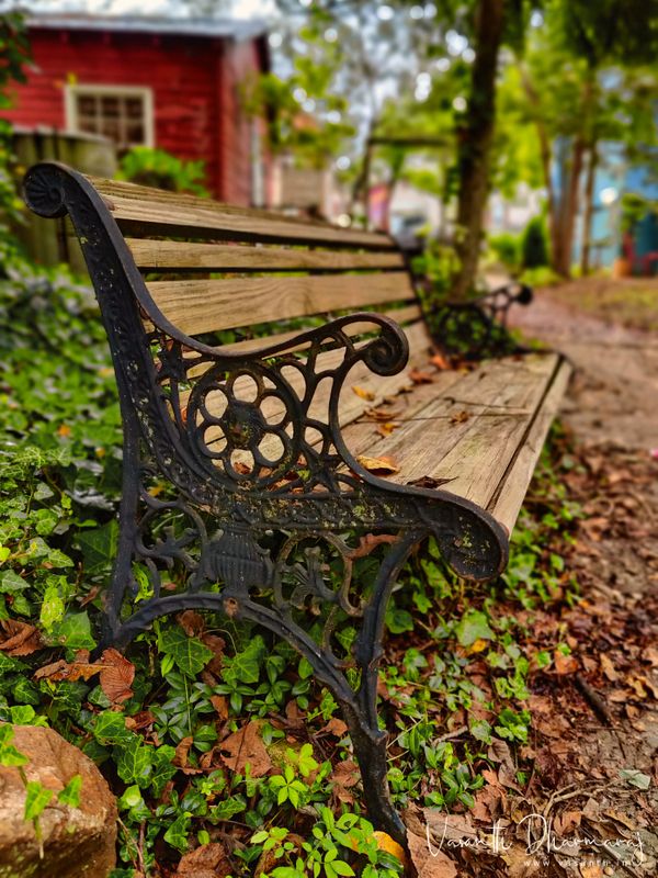 Old bench